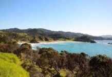 Tragic Death of Snorkeller at Northland Beach tragic-death-of-snorkeller-at-northland-beach