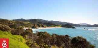 Tragic Death of Snorkeller at Northland Beach tragic-death-of-snorkeller-at-northland-beach