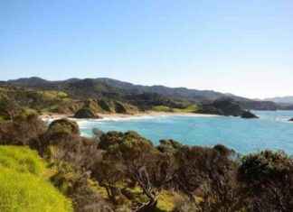Tragic Death of Snorkeller at Northland Beach tragic-death-of-snorkeller-at-northland-beach