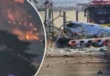 Tragic Plane Crash Claims Dozens of Lives at South Korean Airport tragic-plane-crash-claims-dozens-of-lives-at-south-korean-airport