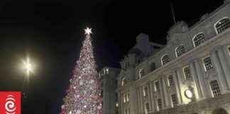 Ultimate Guide to Buying a $1.2m Christmas Tree: Tips and Tricks ultimate-guide-to-buying-a-12m-christmas-tree-tips-and-tricks