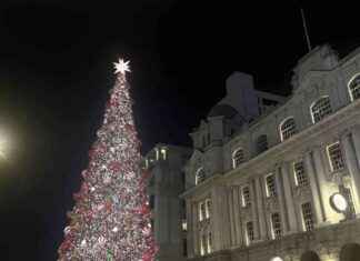 Ultimate Guide to Buying a $1.2m Christmas Tree: Tips and Tricks ultimate-guide-to-buying-a-12m-christmas-tree-tips-and-tricks