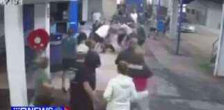 Violent Brawl at Sydney Greyhound Track Event: Shocking Footage Captured violent-brawl-at-sydney-greyhound-track-event-shocking-footage-captured