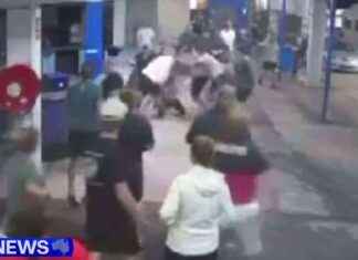 Violent Brawl at Sydney Greyhound Track Event: Shocking Footage Captured violent-brawl-at-sydney-greyhound-track-event-shocking-footage-captured