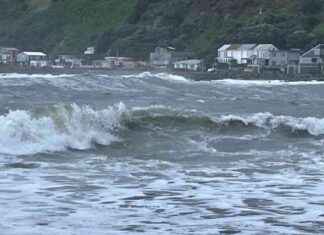 Weekend Forecast: Heavy Rain in Wairoa, Strong Winds and Swells in Central NZ weekend-forecast-heavy-rain-in-wairoa-strong-winds-and-swells-in-central-nz
