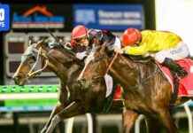 Activist Claims Magic Millions Track Damage Not Due to Protest activist-claims-magic-millions-track-damage-not-due-to-protest