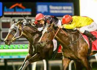 Activist Claims Magic Millions Track Damage Not Due to Protest activist-claims-magic-millions-track-damage-not-due-to-protest