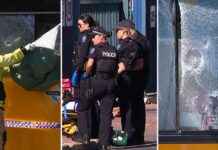 Adelaide Bus Brawl: 19 People Involved in Blood-Curdling Fight adelaide-bus-brawl-19-people-nvolved-in-blood-curdling-fight