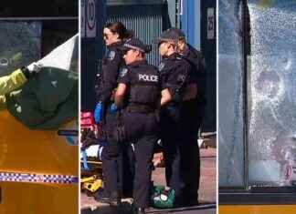 Adelaide Bus Brawl: 19 People Involved in Blood-Curdling Fight adelaide-bus-brawl-19-people-nvolved-in-blood-curdling-fight