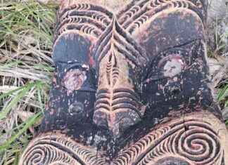 Ancient Carving Unearthed in Northland, New Zealand ancient-carving-unearthed-in-northland-new-zealand