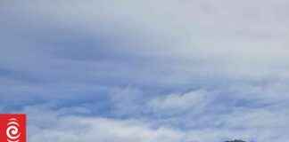 Auckland Beach Dog Warden: Purpose and Responsibilities auckland-beach-dog-warden-purpose-and-responsibilities