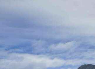 Auckland Beach Dog Warden: Purpose and Responsibilities auckland-beach-dog-warden-purpose-and-responsibilities