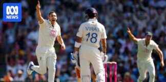 Australia vs India: Grand Finale Match Preview and Predictions australia-vs-ndia-grand-finale-match-preview-and-predictions