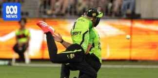 BBL Players Hospitalized After Collision During High Catch Attempt bbl-players-hospitalized-after-collision-during-high-catch-attempt