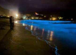 Bioluminescent Algae Light Up New Year’s Night in Tasmania bioluminescent-algae-light-up-new-years-night-in-tasmania