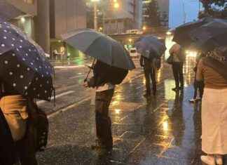Brisbane Records Wettest Year in 2024 with 160 Days of Rain brisbane-records-wettest-year-in-2024-with-160-days-of-rain