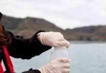 Canterbury Waterways Water Quality Safety Warning Lifted: Update canterbury-waterways-water-quality-safety-warning-lifted-update