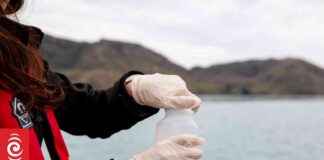 Canterbury Waterways Water Quality Safety Warning Lifted: Update canterbury-waterways-water-quality-safety-warning-lifted-update