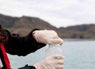 Canterbury Waterways Water Quality Safety Warning Lifted: Update canterbury-waterways-water-quality-safety-warning-lifted-update