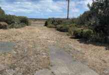 Canterbury Woman Wins World’s Ugliest Lawn Award canterbury-woman-wins-worlds-ugliest-lawn-award