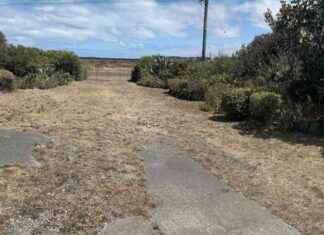 Canterbury Woman Wins World’s Ugliest Lawn Award canterbury-woman-wins-worlds-ugliest-lawn-award