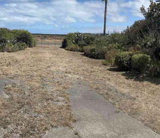 Canterbury Woman Wins World’s Ugliest Lawn Award canterbury-woman-wins-worlds-ugliest-lawn-award
