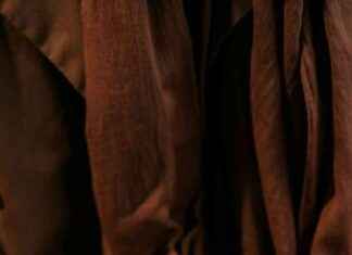 Challenges Facing the Coffee Industry: What’s Ahead challenges-facing-the-coffee-ndustry-whats-ahead