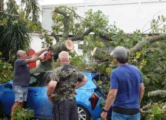 Cleaning Up After the Mangawhai Tornado: Residents Begin Recovery Efforts cleaning-up-after-the-mangawhai-tornado-residents-begin-recovery-efforts