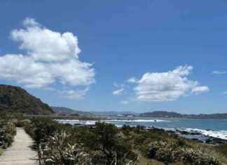 Clearing Polluted Dump Site in Wellington: 3-Week Cleanup Ahead clearing-polluted-dump-site-in-wellington-3-week-cleanup-ahead