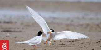 Climate Change Threatens One-Third of Native Species by 2050 climate-change-threatens-one-third-of-native-species-by-2050