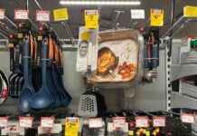 Coles Ceases Nationwide Knife Sales Following Worker Stabbing coles-ceases-nationwide-knife-sales-following-worker-stabbing