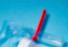 Eliminating Cervical Cancer in New Zealand: Funding and Plan Needed eliminating-cervical-cancer-in-new-zealand-funding-and-plan-needed