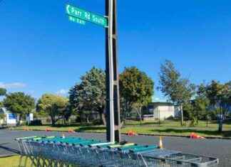 Entitlement and Laziness: The Issue of Abandoned Shopping Trolleys in Point Chevalier entitlement-and-laziness-the-ssue-of-abandoned-shopping-trolleys-in-point-chevalier