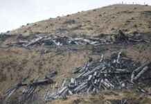 Ernslaw One Delays Cyclone Damage Repairs, Court Extends Deadlines ernslaw-one-delays-cyclone-damage-repairs-court-extends-deadlines