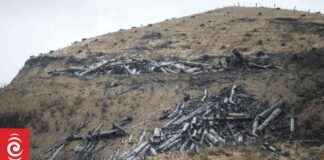 Ernslaw One Delays Cyclone Damage Repairs, Court Extends Deadlines ernslaw-one-delays-cyclone-damage-repairs-court-extends-deadlines