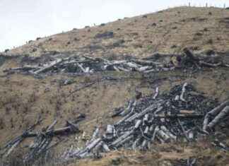 Ernslaw One Delays Cyclone Damage Repairs, Court Extends Deadlines ernslaw-one-delays-cyclone-damage-repairs-court-extends-deadlines