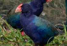 Exploring Often Overlooked Natural Wonders: A Guide to Nature’s Hidden Gems exploring-often-overlooked-natural-wonders-a-guide-to-natures-hidden-gems