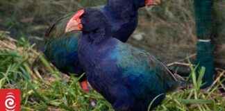 Exploring Often Overlooked Natural Wonders: A Guide to Nature’s Hidden Gems exploring-often-overlooked-natural-wonders-a-guide-to-natures-hidden-gems