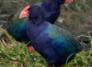 Exploring Often Overlooked Natural Wonders: A Guide to Nature’s Hidden Gems exploring-often-overlooked-natural-wonders-a-guide-to-natures-hidden-gems