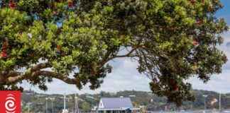 Exploring the History of New Zealand’s First Jail: A Story of Colonial Identity exploring-the-history-of-new-zealands-first-jail-a-story-of-colonial-dentity