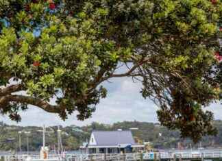 Exploring the History of New Zealand’s First Jail: A Story of Colonial Identity exploring-the-history-of-new-zealands-first-jail-a-story-of-colonial-dentity