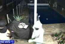 Home Invasion in Brisbane: Police Officer and Family Targeted home-nvasion-in-brisbane-police-officer-and-family-targeted