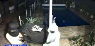 Home Invasion in Brisbane: Police Officer and Family Targeted home-nvasion-in-brisbane-police-officer-and-family-targeted