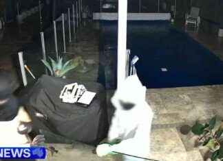 Home Invasion in Brisbane: Police Officer and Family Targeted home-nvasion-in-brisbane-police-officer-and-family-targeted