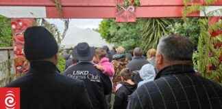 Honour Dame Tariana Turia: Live Updates for Hīkoi mō te Tiriti Supporters honour-dame-tariana-turia-live-updates-for-hkoi-m-te-tiriti-supporters
