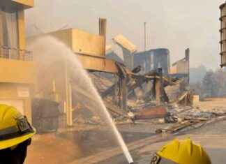 Kiwi’s Dream House in Malibu Destroyed by LA Fires: A Heartbreaking Loss kiwis-dream-house-in-malibu-destroyed-by-la-fires-a-heartbreaking-loss