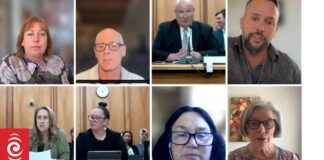 Live Stream: Select Committee Treaty Principles Bill Submissions Hearings Start Now live-stream-select-committee-treaty-principles-bill-submissions-hearings-start-now