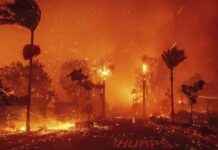 Los Angeles Fires: 2 Killed, 1000 Structures Destroyed – Update & Impact los-angeles-fires-2-killed-1000-structures-destroyed-update-mpact