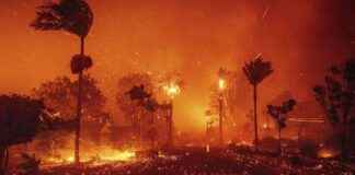 Los Angeles Fires: 2 Killed, 1000 Structures Destroyed – Update & Impact los-angeles-fires-2-killed-1000-structures-destroyed-update-mpact