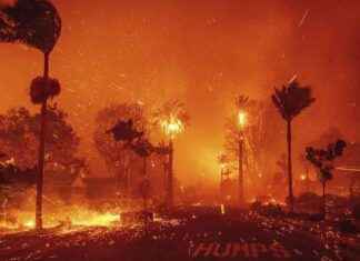 Los Angeles Fires: 2 Killed, 1000 Structures Destroyed – Update & Impact los-angeles-fires-2-killed-1000-structures-destroyed-update-mpact